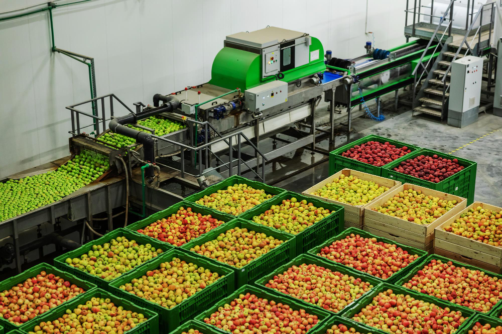 Fruit & Vegetable Processing