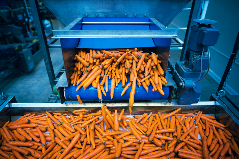 Snack Processing