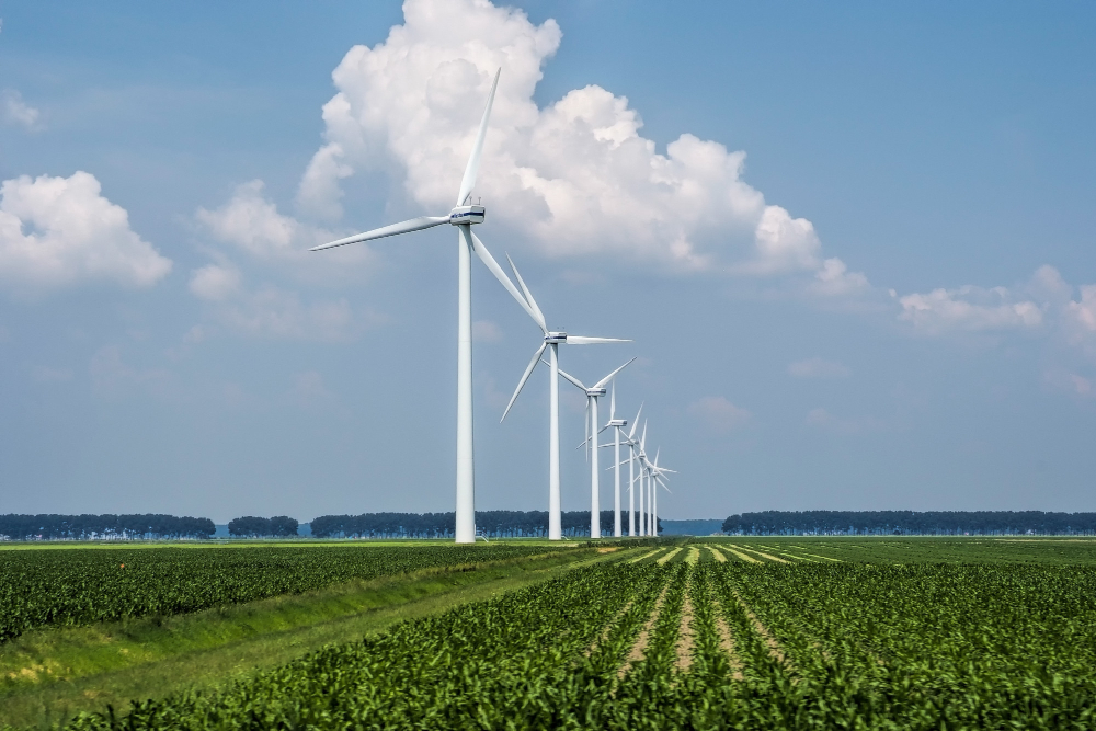 Renewable Energy